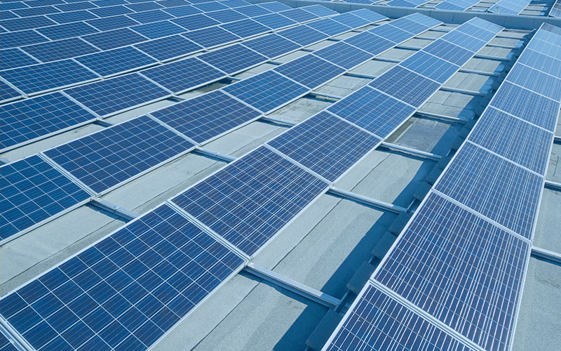 Energía solar para grandes empresas: cómo aprovecharla